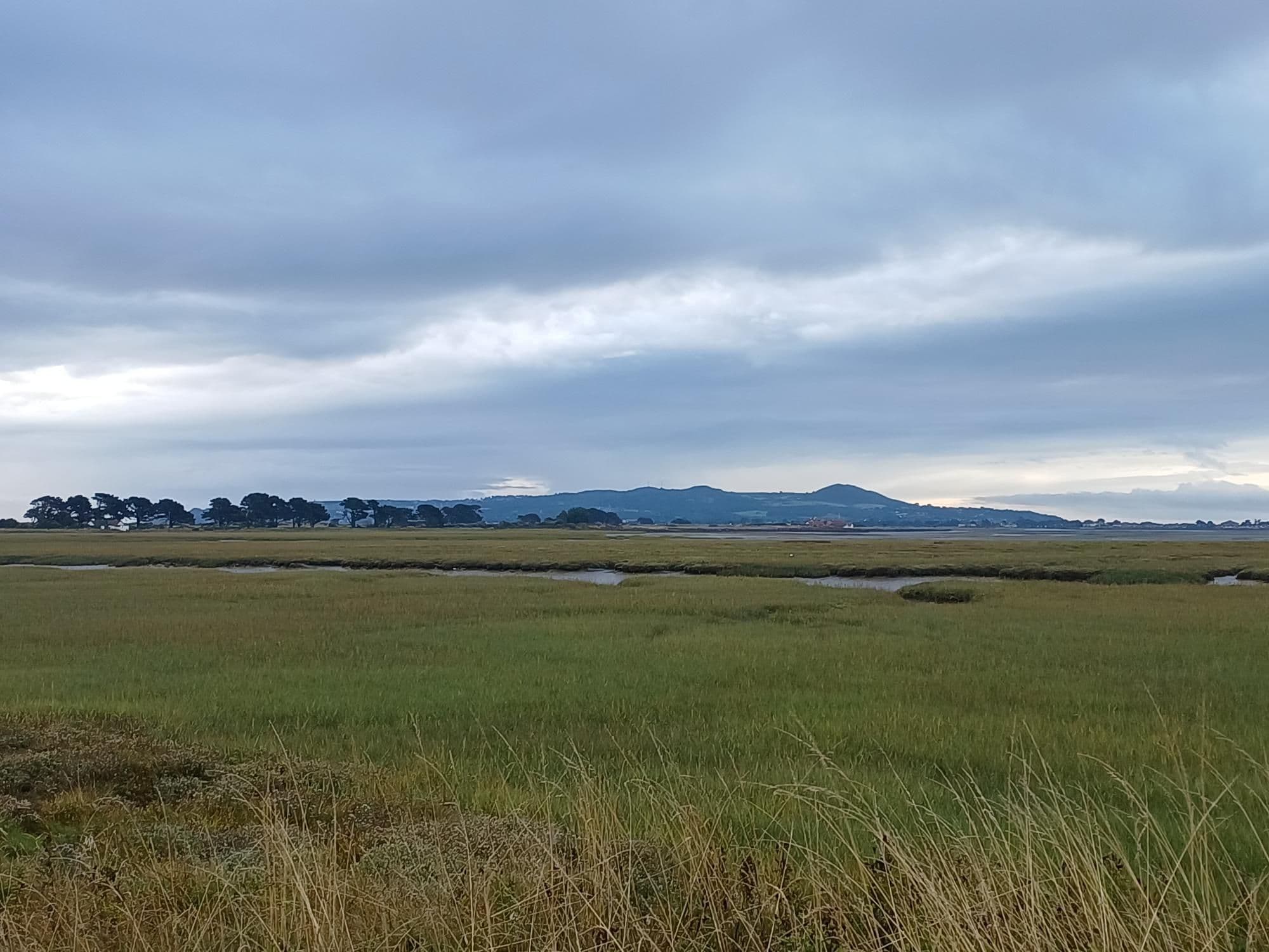 Photo from Morning Run